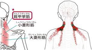 後頭部首の付け根押すと痛い